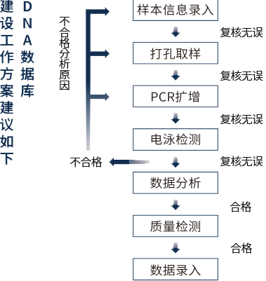 技术服务